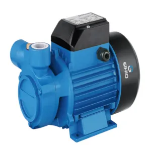 TQ Clean Water Pump with Peripheral Brass Impeller