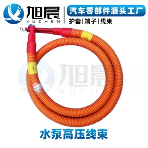 High-voltage wiring harness for water pumps, high-voltage and low-voltage wiring harness