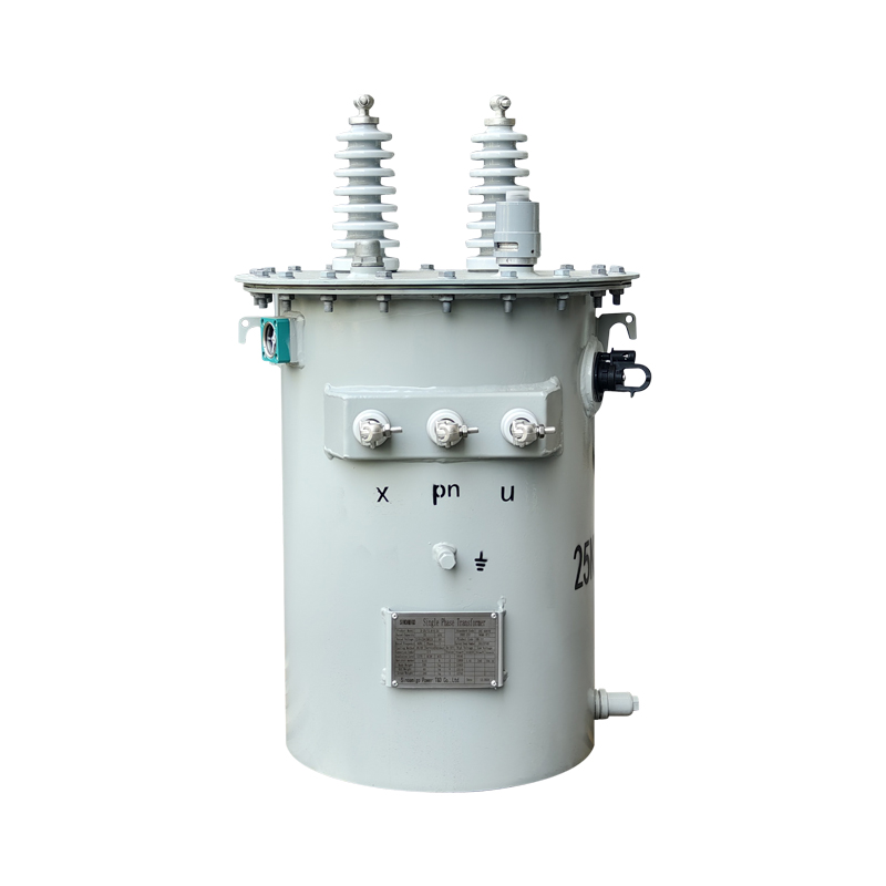 Conventional single-phase overhead transformer D11-100kVA
