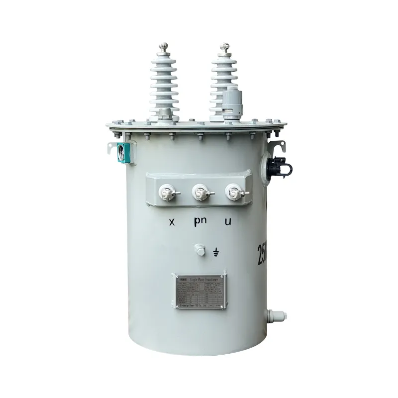 Conventional single-phase overhead transformer
