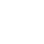 construction field