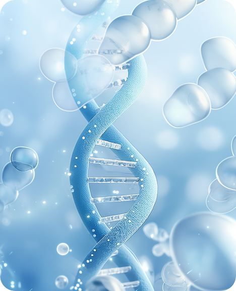 Premium Pharmaceutical Excipients 