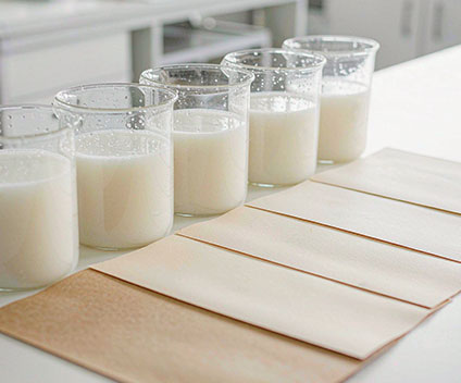 Papermaking application image 2