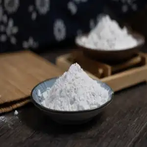 Magnesium Carbonate Flotation (Selected Natural Magnesium Carbonate Powder)