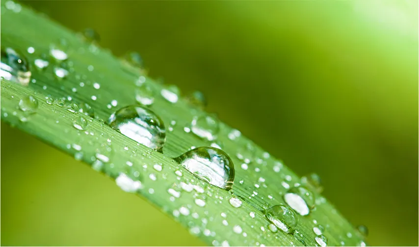 Magnesium Carbonate in Pharmaceutical and Food Industry