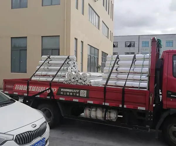 Aluminum-coated storage bags