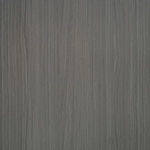 T5289 Компактный ламинат высокого давления A6 HPL