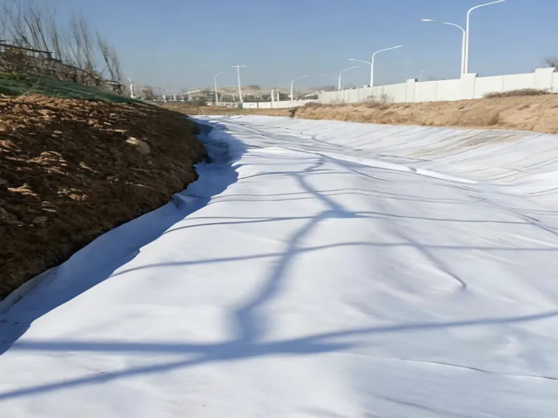 Soil-stabilizing, eco-friendly, slope-protective, anti-erosion erosion control geotextile