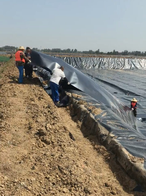 “Global Geosynthetics Market Set to Surge Amid Infrastructure Boom”