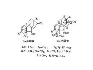 Gibberellic acid