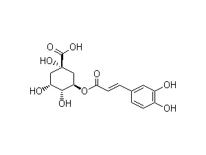 Green coffee bean extract