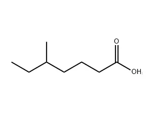 5-Methylheptanoic acid