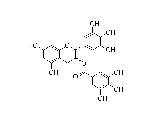 Green tea extract powder