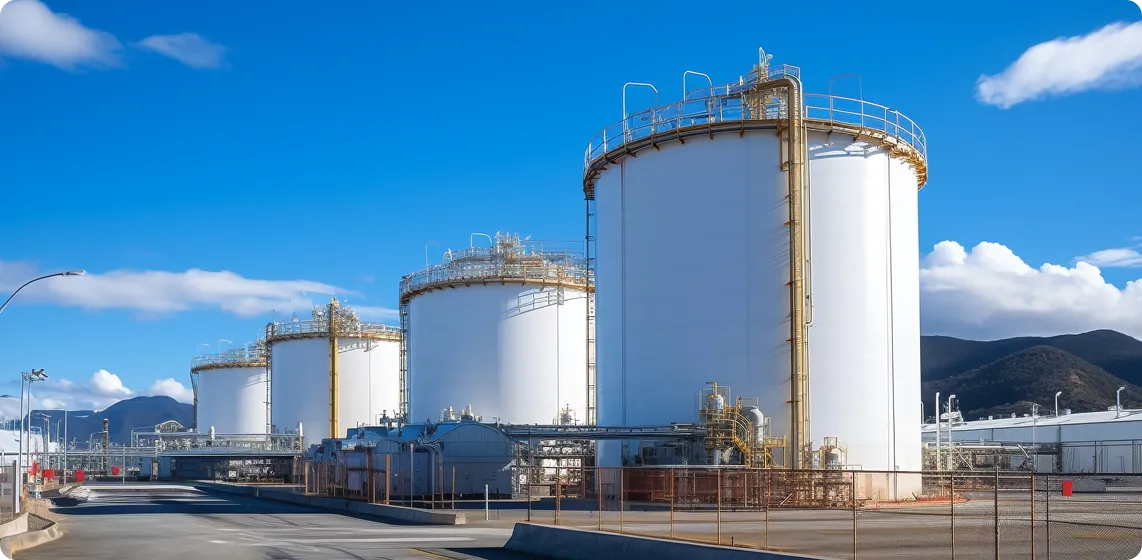 Petrochemical industry