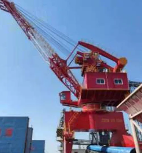 Single Jib Portal Slewing Crane