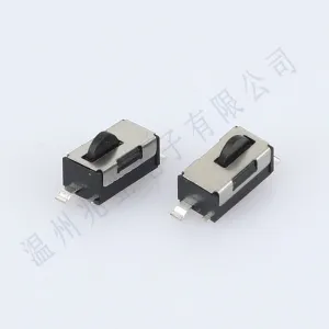 DS1AB-104S01-02AT Limit Switch