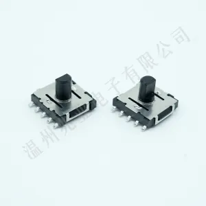 SSS-10MD-9-T20 Rotary Switch