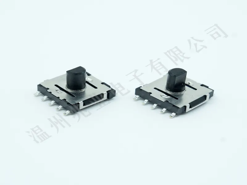 SSS-10MD-9-T20 Rotary Switch