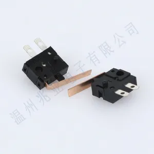 DS-118A-12 Detection Switch Limit Switch