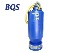 Pompe &eacute;lectrique submersible pour eaux us&eacute;es BQS 100 kW