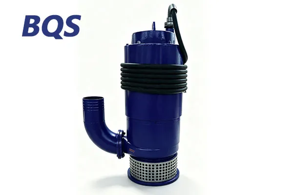 Bomba de esgoto submers&iacute;vel el&eacute;trica BQS 37kW