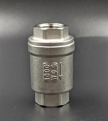 Stainless steel vertical check valve
