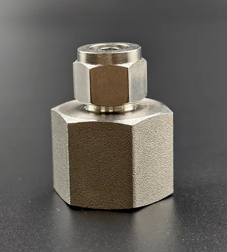 Stainless Steel Internal Thread Ferrule Straight Fitting