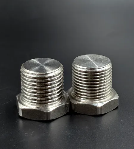 Stainless steel hexagonal plug