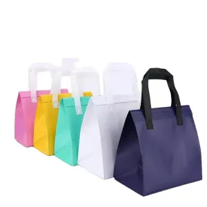 HANSUN Free Sample Custom Logo Size Non Woven Aluminum Foil Insulated Lunch Box Picnic Tote Grocery Thermal Shopping Cooler Bag