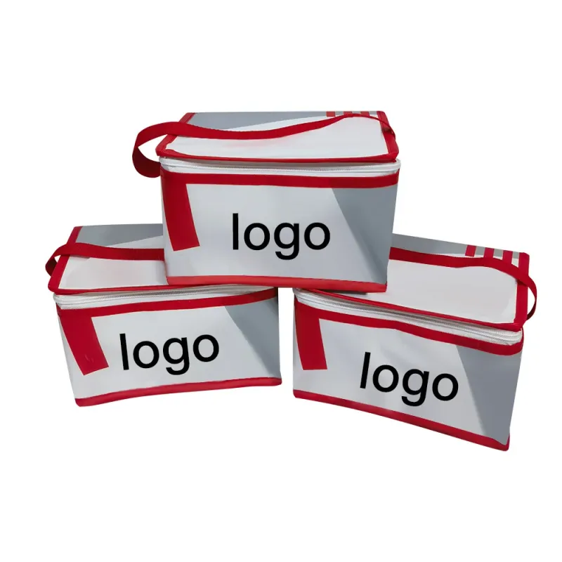 Wholesale Small 6 Pack Beer Insulated Cooler Bag Thermal Cool Lunch Food Delivery Bag Portable Ice Packs With Custom Logo