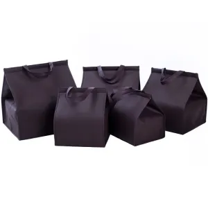 HANSUN Wholesale Hot Sale Portable Cake Aluminum Foil Insulated Non Woven Cooler Bag Insulated Bag for Delivery
