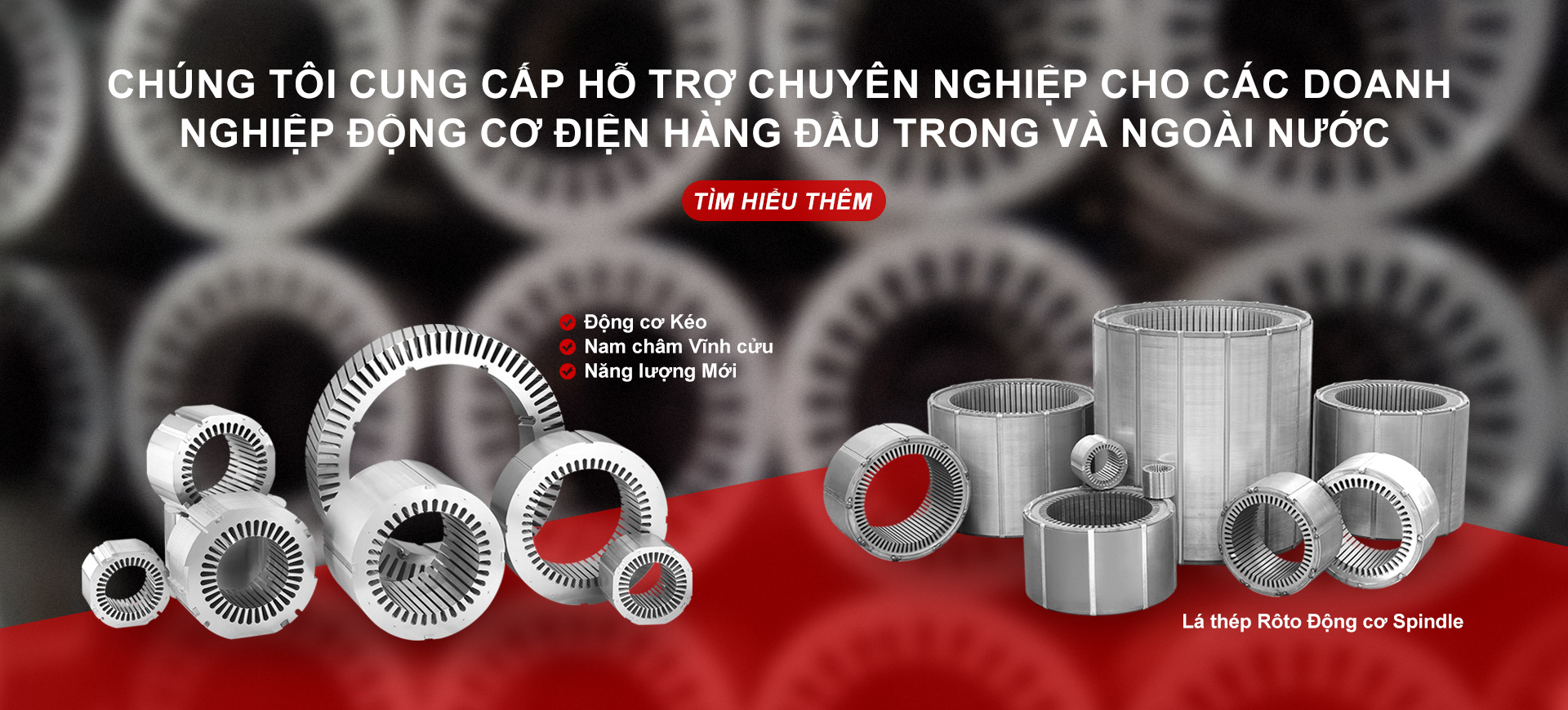 Rôto động cơ