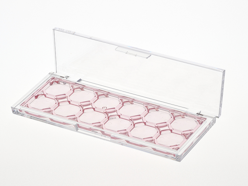 Multi Color Octagonal Eye shadow box XQ625