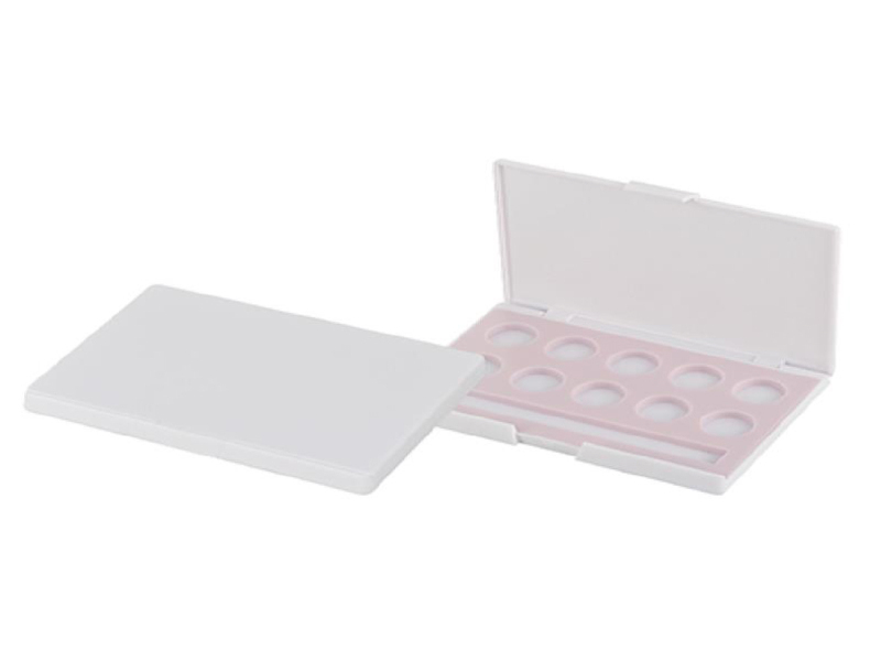 10 Color Eye shadow box with Brush Slot XQ267