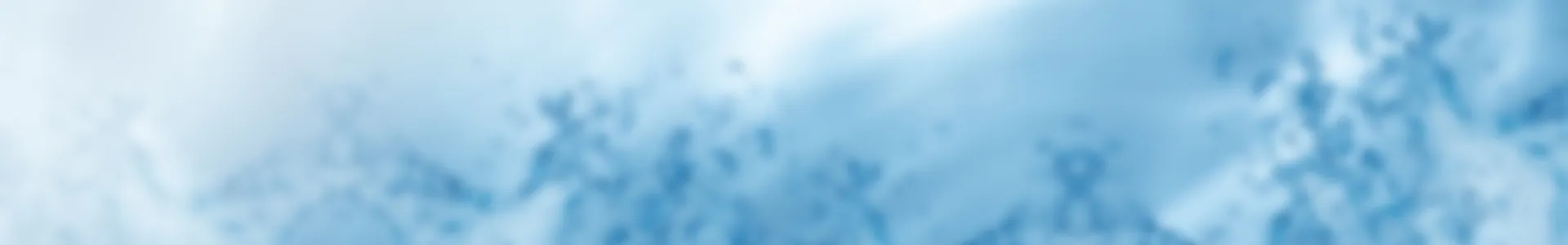 公司介绍s