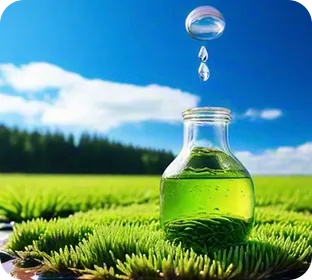 Biomass liquid fertilizer