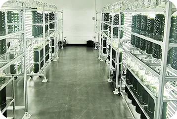 Microalgae cultivation