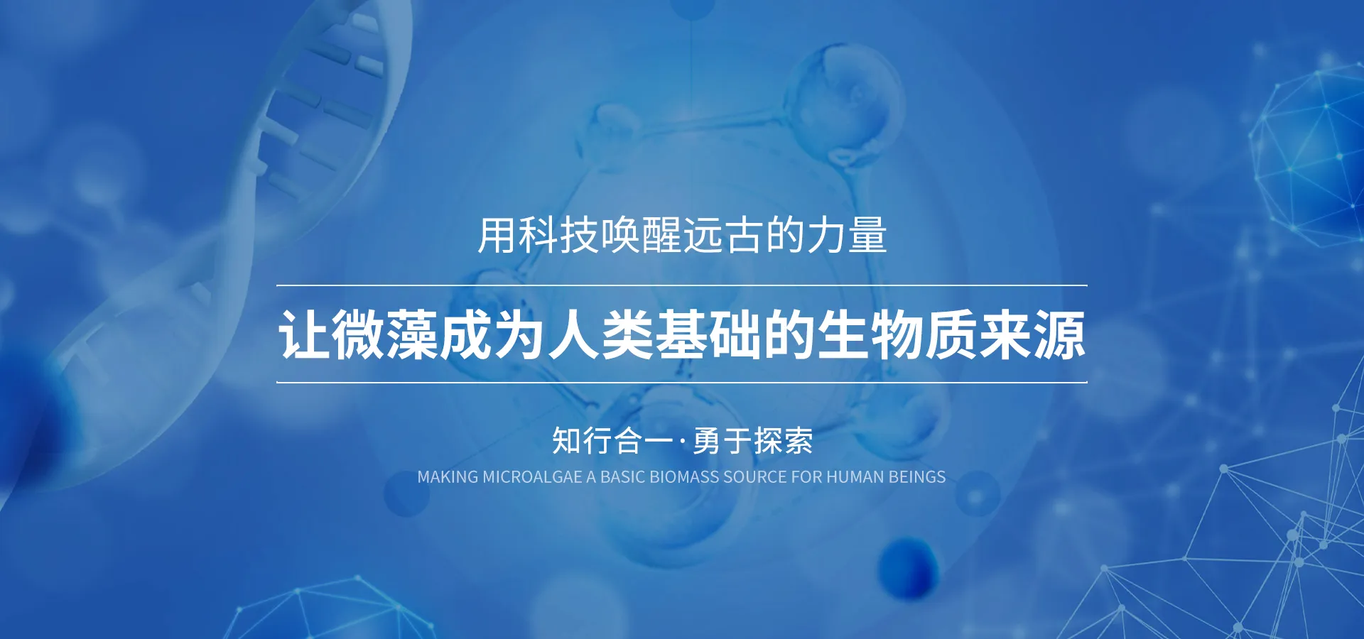让微藻成为人类基础的生物质来源
