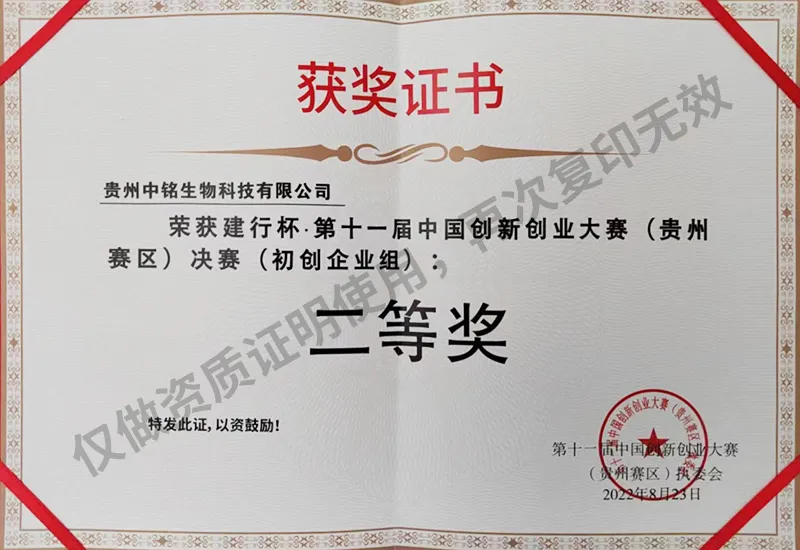 Second Prize in the Startup Group