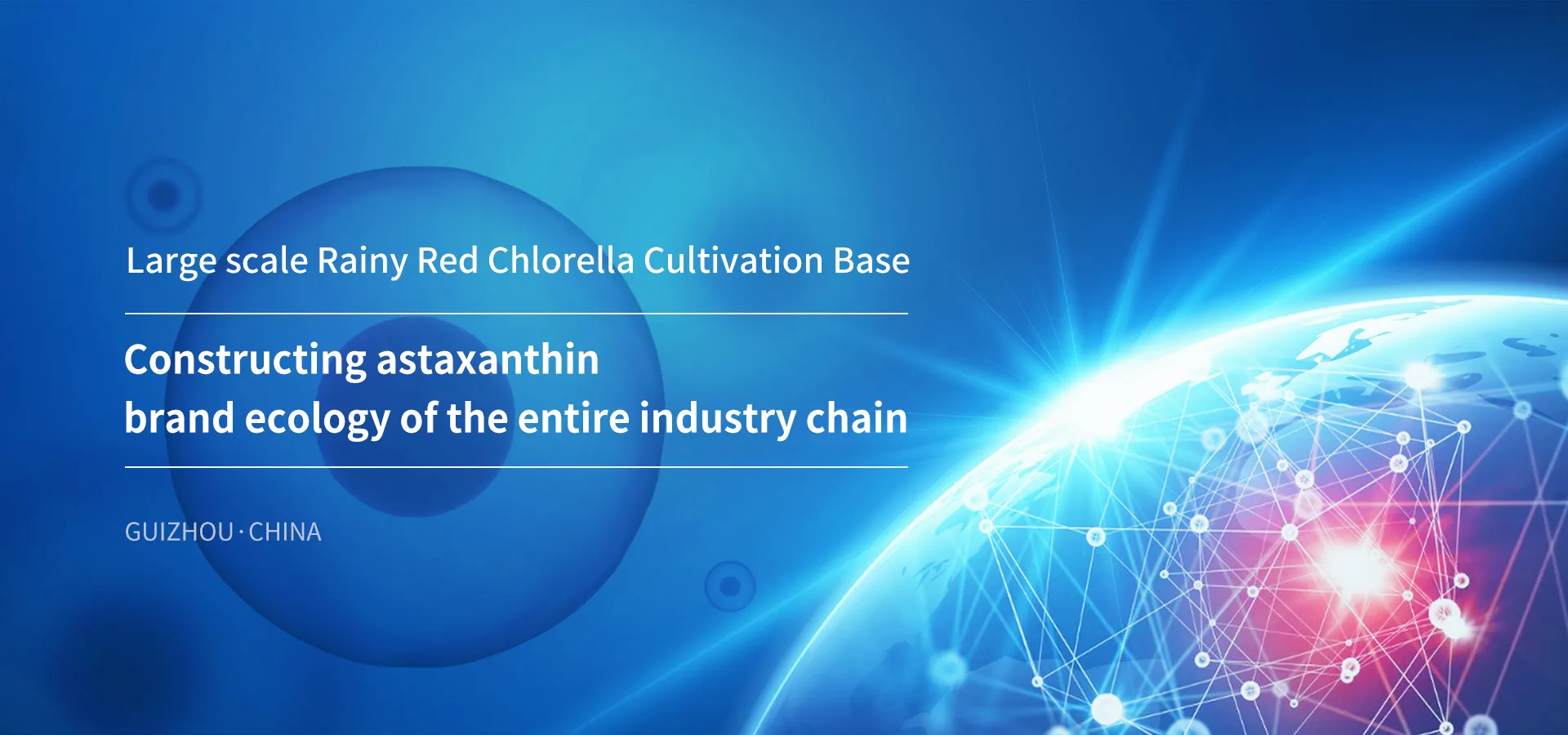 Building a brand ecosystem for the entire astaxanthin industry chain
