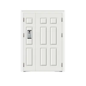 Video intercom entrance door